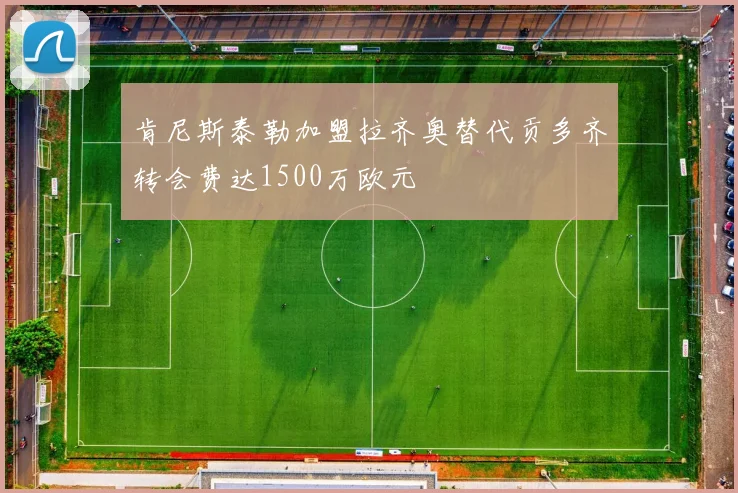 肯尼斯泰勒加盟拉齐奥替代贡多齐转会费达1500万欧元